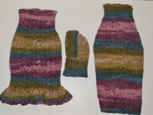 Suņu kleita raibos toņos