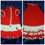 Suņu kleita sarkana ar gaiši zaļganu akcentu thumbnail 1