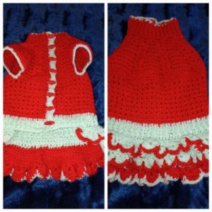 Suņu kleita sarkana ar gaiši zaļganu akcentu