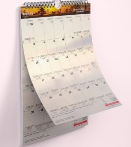 Sienas (A3) plānotājs