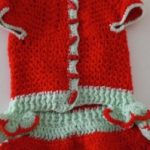 Suņu kleita sarkana ar gaiši zaļganu akcentu thumbnail 3