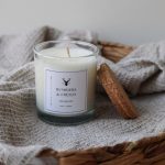 Sojas vaska svece - Bumbiers un frēzija (caurspīdīga) thumbnail 1