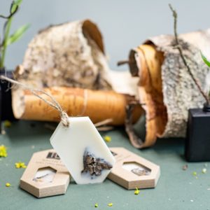 AROMĀTISKAIS VASKS AR BĒRZA AROMĀTU