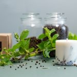 SOJAS VASKA SVECE AR KADIĶA AROMĀTU (XL) thumbnail 1